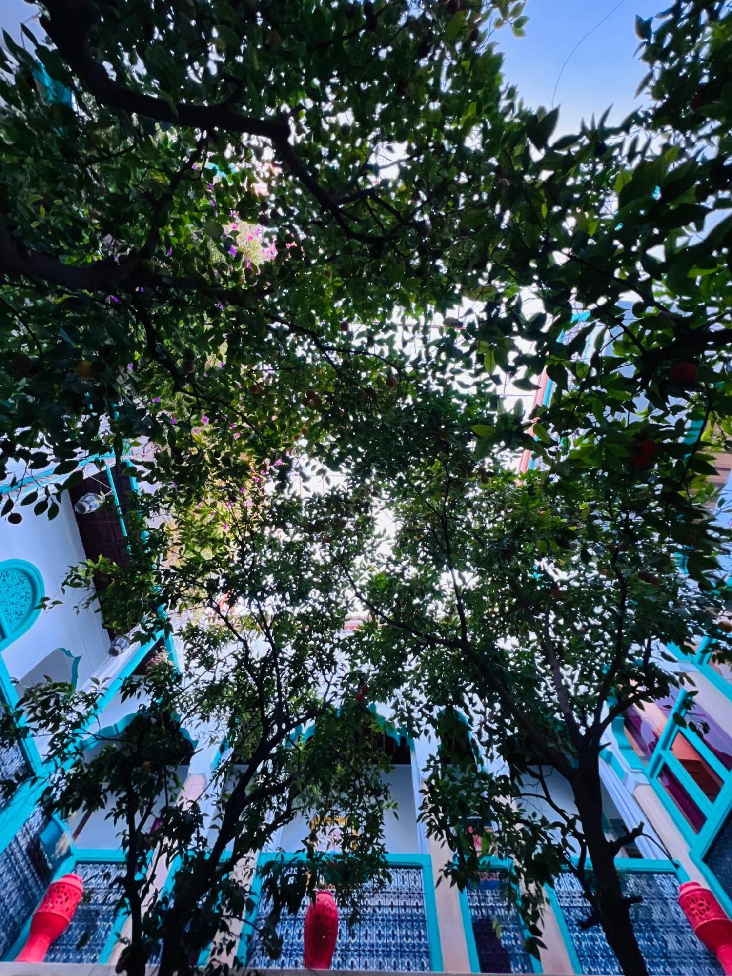 Riad Al Nour Марракеш Экстерьер фото